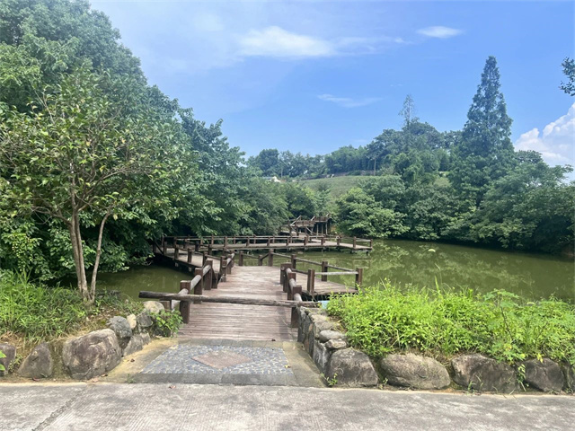微信图片_20230802134930.jpg 微信图片_20230802134930.jpg