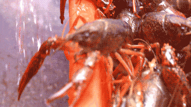 微信图片_20240509134357.gif 微信图片_20240509134357.gif