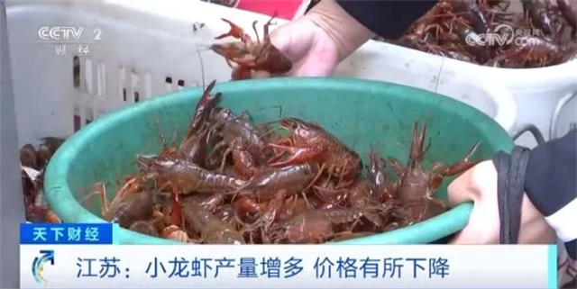 微信图片_20240509134359.jpg 微信图片_20240509134359.jpg