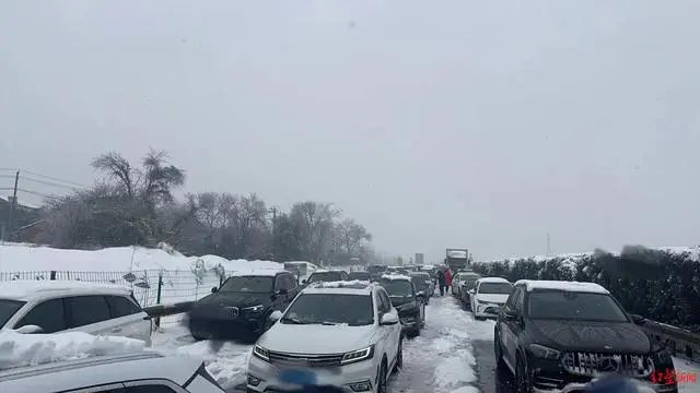 微信图片_20240206155318.jpg 微信图片_20240206155318.jpg