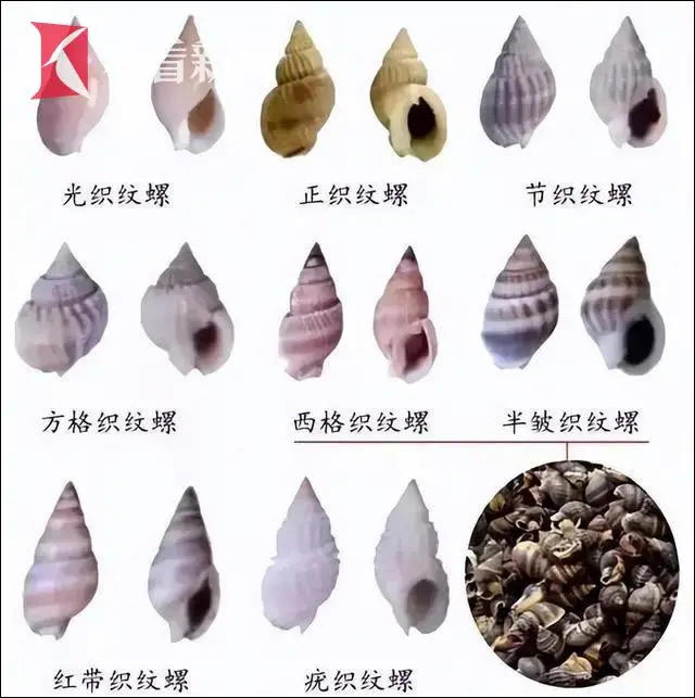 微信图片_20240626135821.jpg 微信图片_20240626135821.jpg