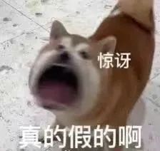 微信图片_20231103131722.jpg 微信图片_20231103131722.jpg