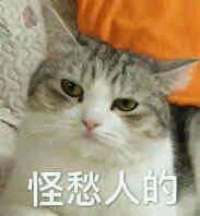 微信图片_20230830142557.jpg 微信图片_20230830142557.jpg