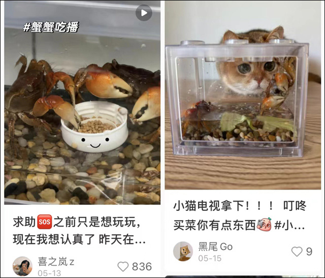 微信图片_20240615144801.jpg