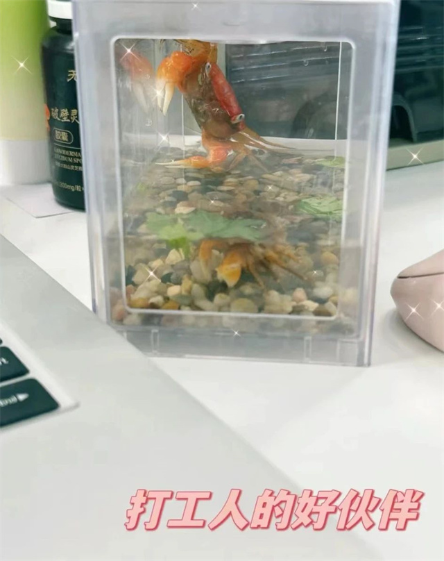 微信图片_20240615144804.jpg