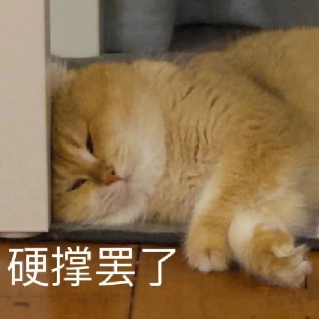 微信图片_20240227105643.jpg 微信图片_20240227105643.jpg