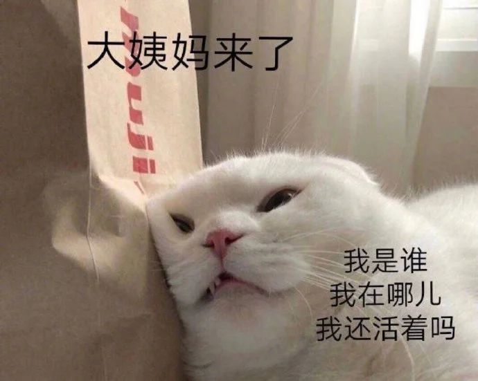 微信图片_20230719132504.jpg 微信图片_20230719132504.jpg