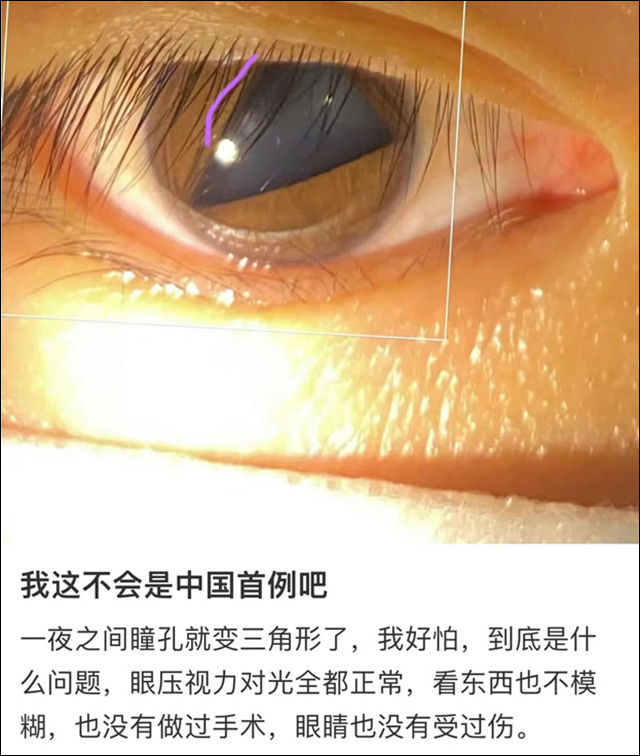 微信图片_20230621114954.jpg