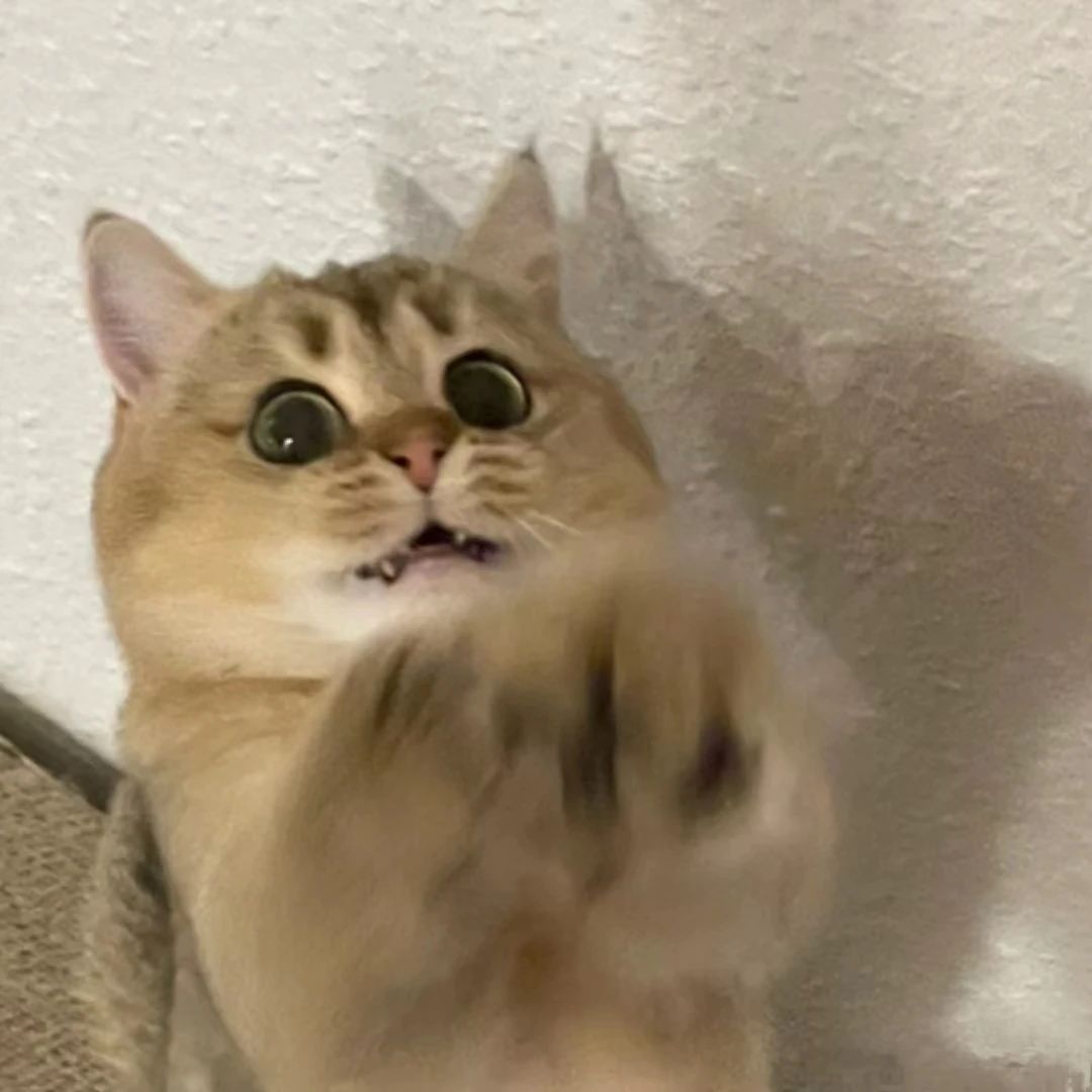 微信图片_20231010133454.jpg 微信图片_20231010133454.jpg