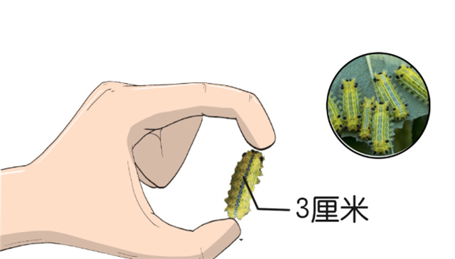 微信图片_20230715143022.jpg 微信图片_20230715143022.jpg