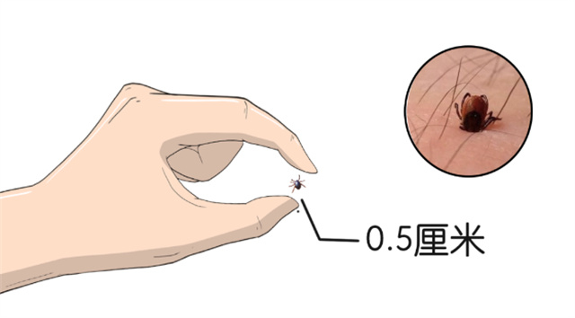 微信图片_20230715143040.jpg 微信图片_20230715143040.jpg