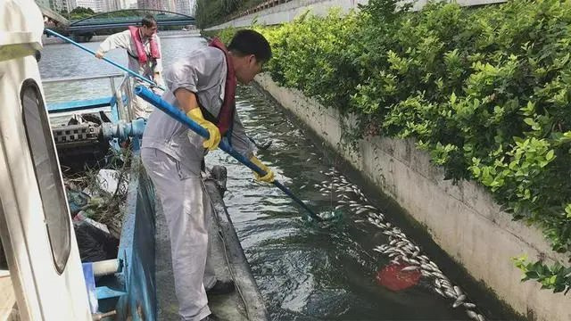 微信图片_20240423123946.jpg 微信图片_20240423123946.jpg