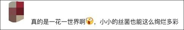 微信图片_20240523112602.jpg 微信图片_20240523112602.jpg