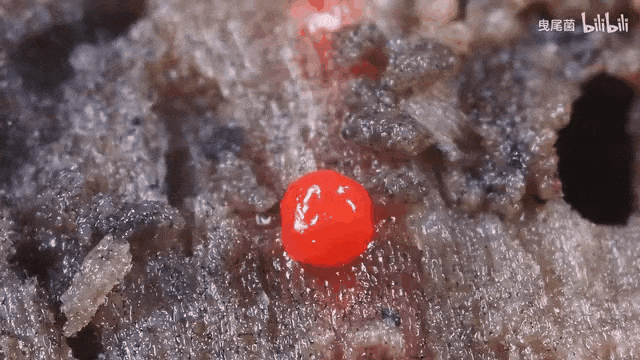 微信图片_20240523112608.gif 微信图片_20240523112608.gif