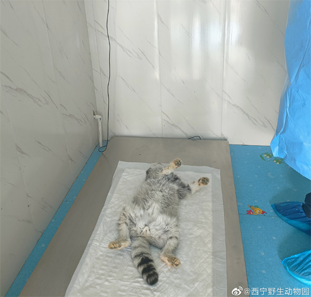 微信图片_20240322115830.jpg