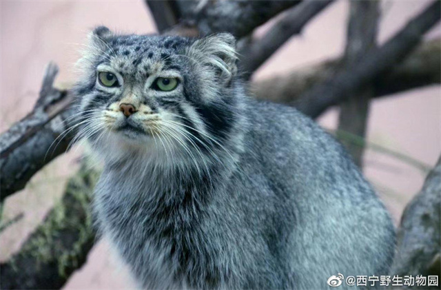 微信图片_20240322115836.jpg