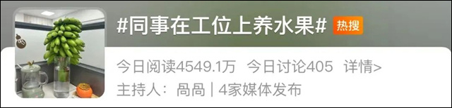 微信图片_20240328142018.jpg 微信图片_20240328142018.jpg