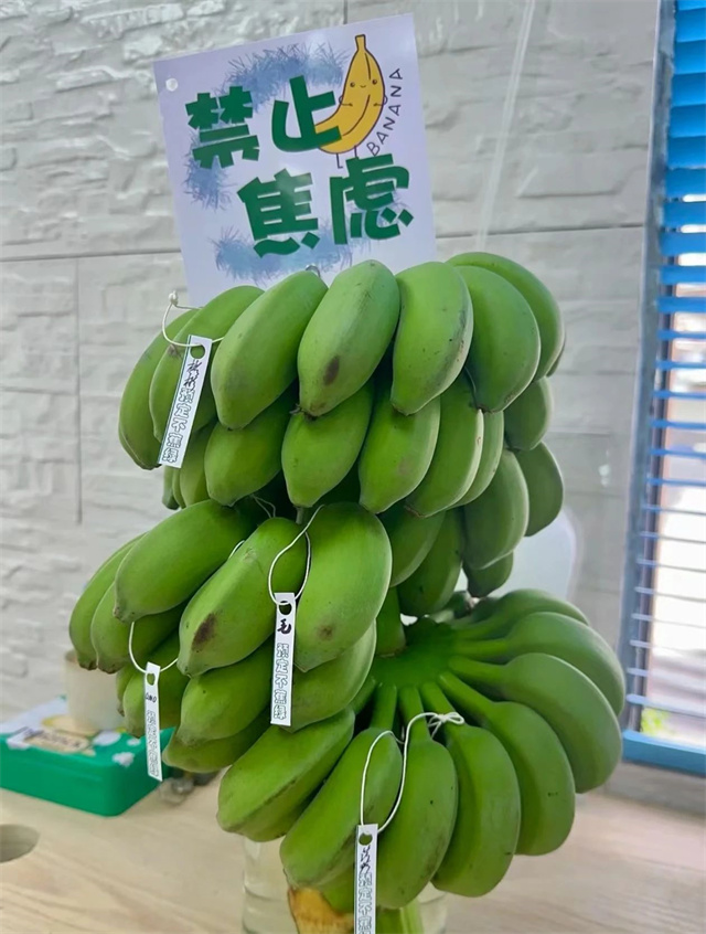 微信图片_20240328142021.jpg 微信图片_20240328142021.jpg