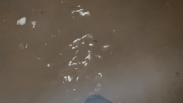 微信图片_20230623120444.gif