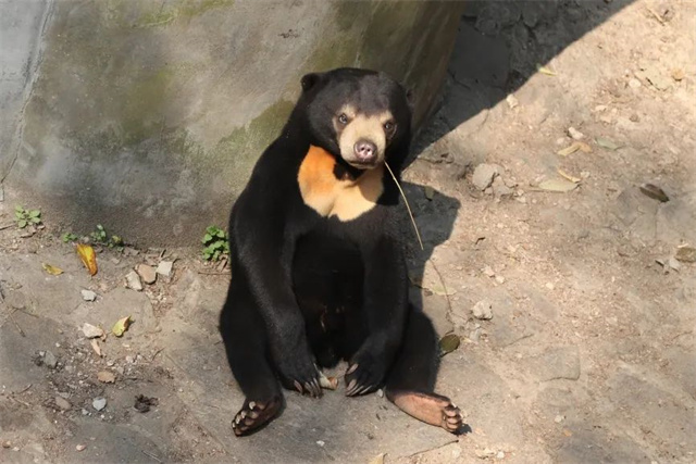 微信图片_20230810140320_7.jpg 微信图片_20230810140320_7.jpg