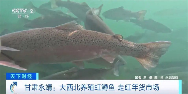 微信图片_20240202143524.jpg