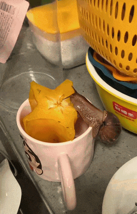 640.gif 640.gif