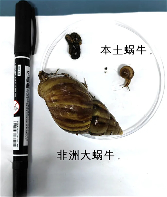 微信图片_20240511153823.jpg 微信图片_20240511153823.jpg