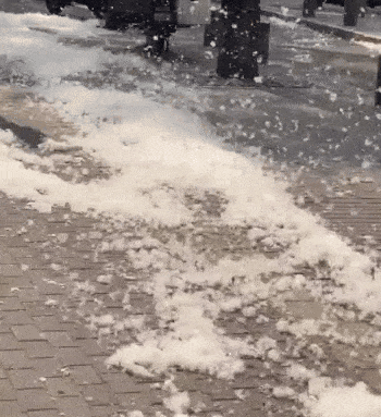 微信图片_20240420155217-min.gif