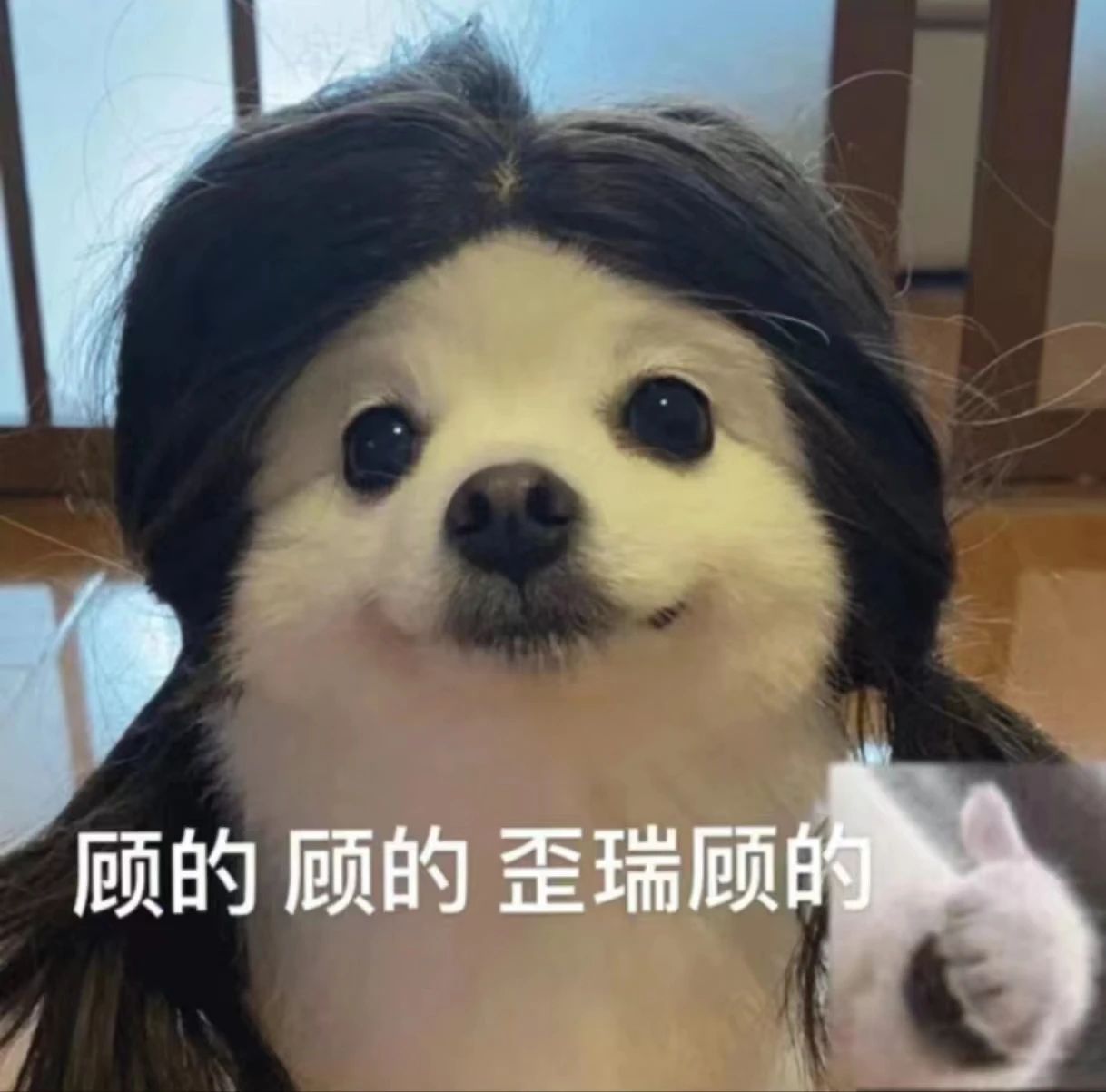 微信图片_20230825132252_6.jpg 微信图片_20230825132252_6.jpg
