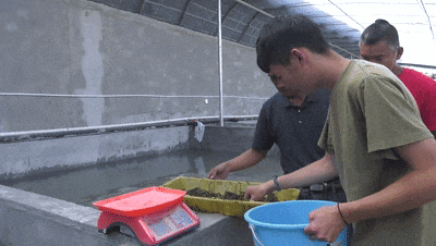 微信图片_20230913151557.gif 微信图片_20230913151557.gif