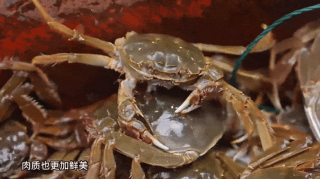 微信图片_20230913151559_1.jpg 微信图片_20230913151559_1.jpg