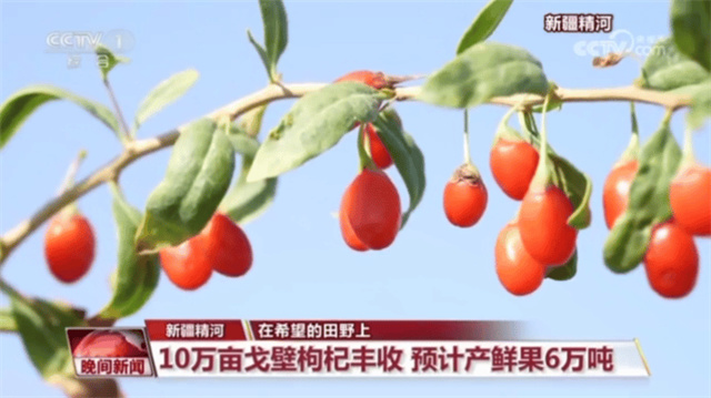 微信图片_20230913151600_2.jpg 微信图片_20230913151600_2.jpg
