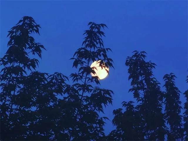 微信图片_20230915161308_2.jpg 微信图片_20230915161308_2.jpg